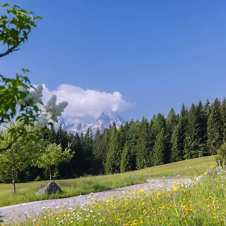 Lehen Apartment Berchtesgaden